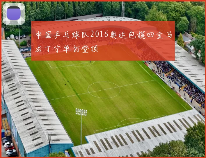 中国乒乓球队2016奥运包揽四金马龙丁宁单打登顶