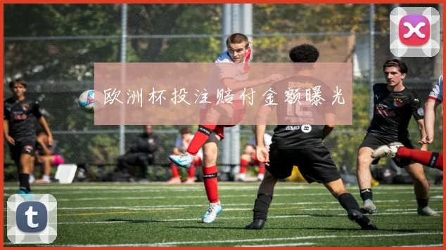 欧洲杯投注赔付金额曝光