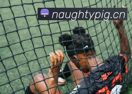 App Interface Preview