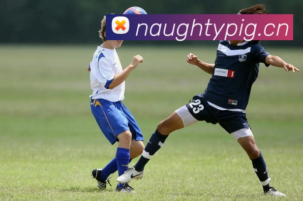 半岛·官方端网页版登录入口 - 半岛(中国)APP 封面图